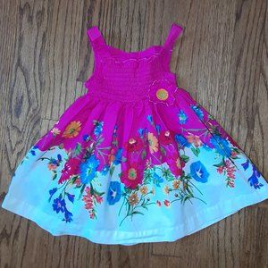 🌺Blueberi Boulevard Girl Dress 12M